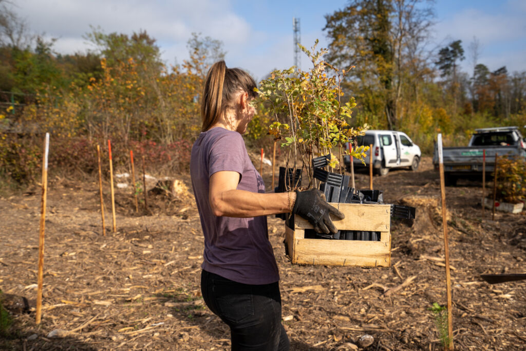 journée de plantation weact